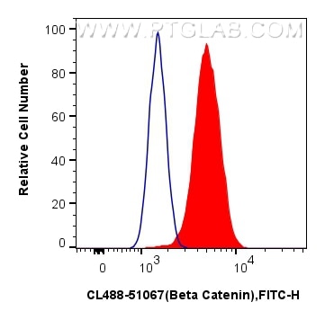Flow cytometry (FC) experiment of MCF-7 cells using CoraLite® Plus 488-conjugated Beta Catenin Polyclo (CL488-51067)