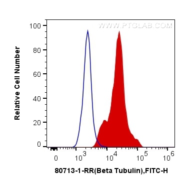 Flow cytometry (FC) experiment of HEK-293 cells using Beta Tubulin Recombinant antibody (80713-1-RR)