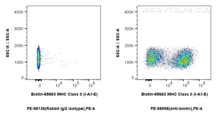Flow cytometry (FC) experiment of mouse splenocytes using PE Anti-Biotin Rabbit Recombinant Antibody (PE-98598)