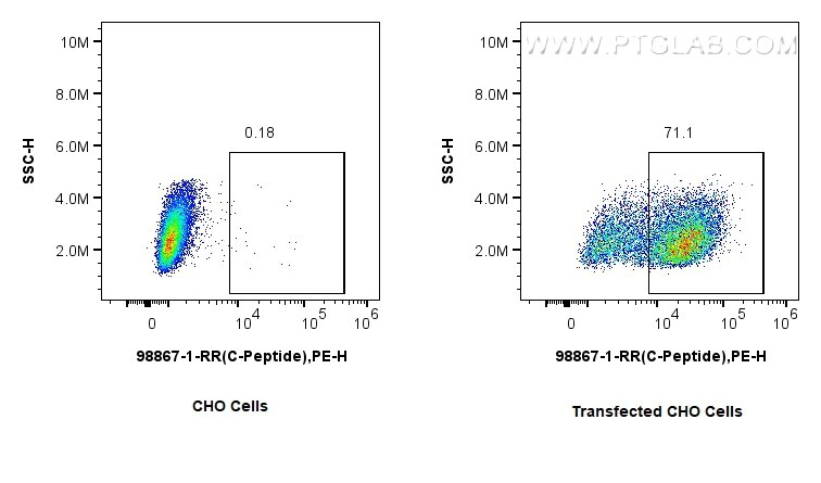 FC experiment of Transfected CHO using 98867-1-RR Flow cytometry (FC) experiment of Transfected CHO using Anti-Human C-Peptide Rabbit Recombinant Antibody (98867-1-RR)