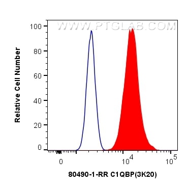 Flow cytometry (FC) experiment of HeLa cells using C1QBP Recombinant antibody (80490-1-RR)