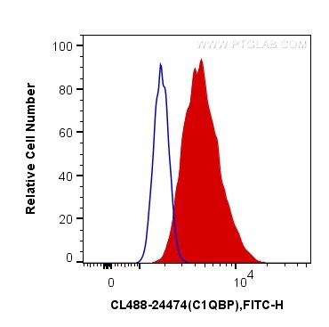 Flow cytometry (FC) experiment of HeLa cells using CoraLite® Plus 488-conjugated C1QBP Polyclonal ant (CL488-24474)