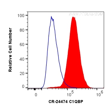 Flow cytometry (FC) experiment of HeLa cells using Cardinal Red™-conjugated C1QBP Polyclonal antibody (CR-24474)