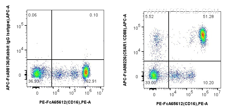 Flow cytometry (FC) experiment of human peripheral blood leukocytes using FcZero-rAb™ APC Anti-Human C5AR1/CD88 Rabbit Recom (APC-FcA98226)