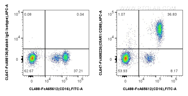 Flow cytometry (FC) experiment of human peripheral blood leukocytes using FcZero-rAb® CoraLite® Plus 647 Anti-Human C5AR1/CD (CL647-FcA98226)