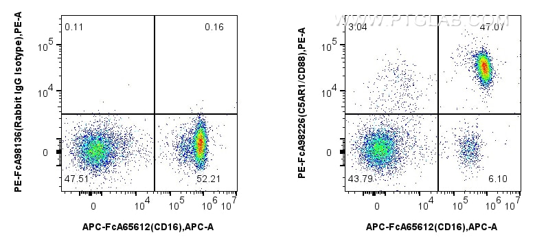 C5AR1/CD88