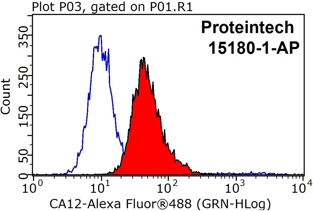 Flow cytometry (FC) experiment of HEK-293 cells using CA12 Polyclonal antibody (15180-1-AP)