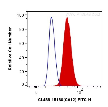 FC experiment of HEK-293 using CL488-15180