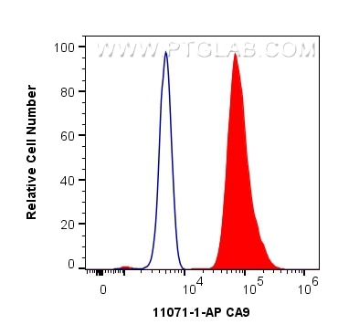 Flow cytometry (FC) experiment of HeLa cells using CA9 Polyclonal antibody (11071-1-AP)