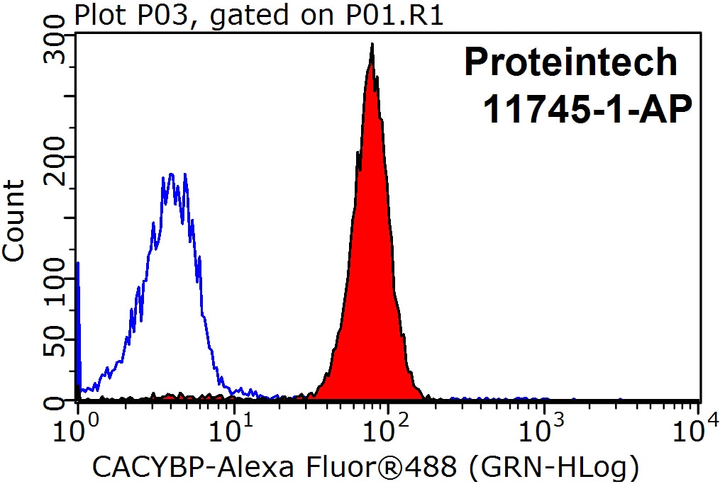 Flow cytometry (FC) experiment of HeLa cells using CACYBP Polyclonal antibody (11745-1-AP)