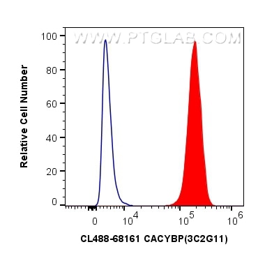 Flow cytometry (FC) experiment of HEK-293 cells using CoraLite® Plus 488-conjugated CACYBP Monoclonal an (CL488-68161)