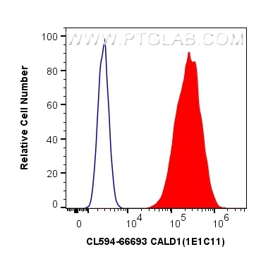 Flow cytometry (FC) experiment of HeLa cells using CoraLite®594-conjugated CALD1 Monoclonal antibody (CL594-66693)