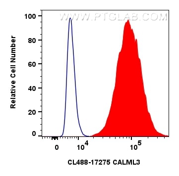 Flow cytometry (FC) experiment of A431 cells using CoraLite® Plus 488-conjugated CALML3 Polyclonal an (CL488-17275)
