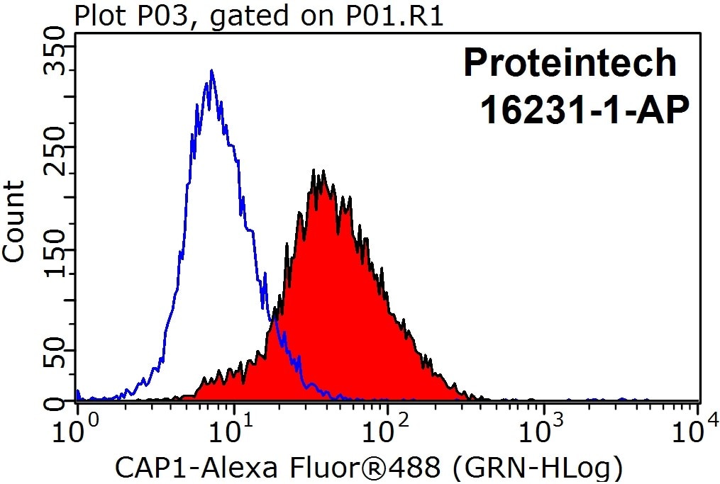 Flow cytometry (FC) experiment of HeLa cells using CAP1 Polyclonal antibody (16231-1-AP)