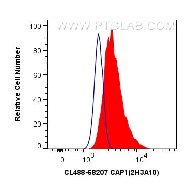 Flow cytometry (FC) experiment of HeLa cells using CoraLite® Plus 488-conjugated CAP1 Monoclonal anti (CL488-68207)