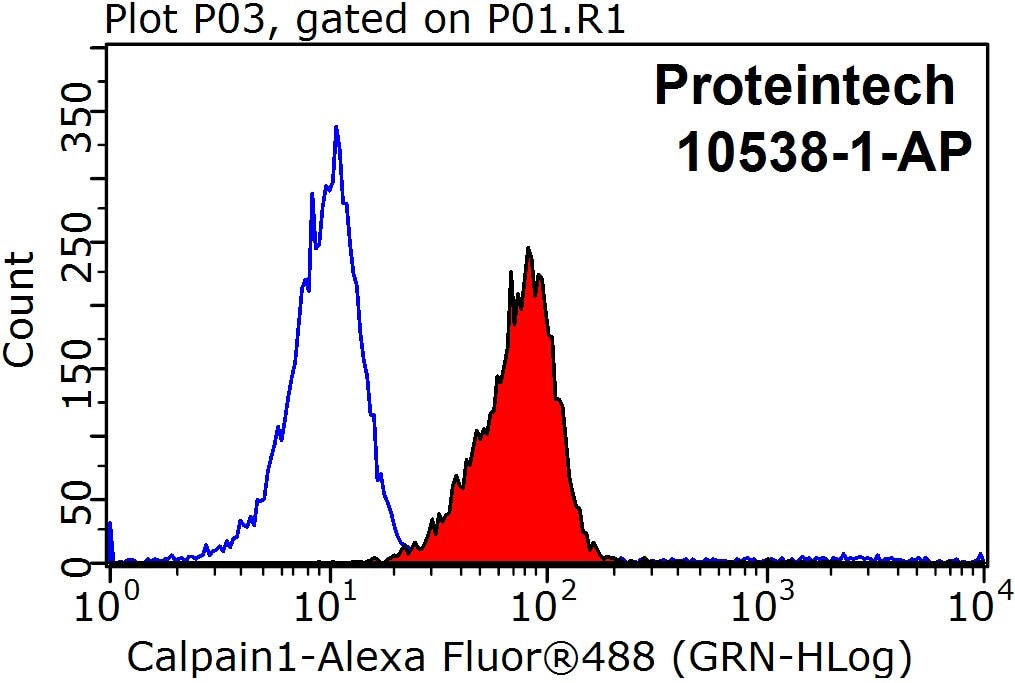 Flow cytometry (FC) experiment of HeLa cells using Calpain 1 Polyclonal antibody (10538-1-AP)