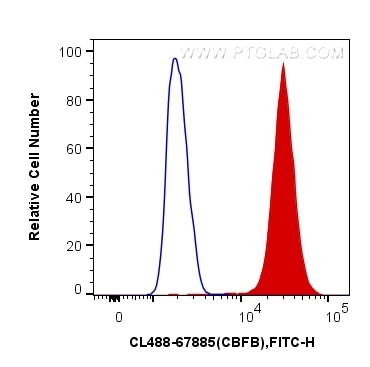 Flow cytometry (FC) experiment of K-562 cells using CoraLite® Plus 488-conjugated CBFB Monoclonal anti (CL488-67885)