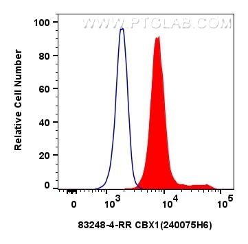 Flow cytometry (FC) experiment of HeLa cells using CBX1 Recombinant antibody (83248-4-RR)