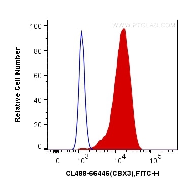 Flow cytometry (FC) experiment of HeLa cells using CoraLite® Plus 488-conjugated CBX3 Monoclonal anti (CL488-66446)
