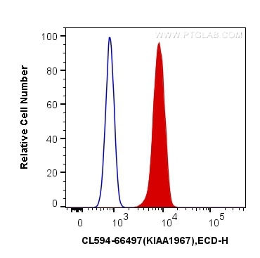 Flow cytometry (FC) experiment of U2OS cells using CoraLite®594-conjugated CCAR2 Monoclonal antibody (CL594-66497)
