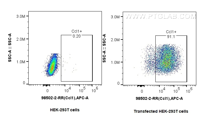 Flow cytometry (FC) experiment of Transfected HEK-293T cells using Anti-Mouse CCL1 Rabbit Recombinant Antibody (98502-2-RR)