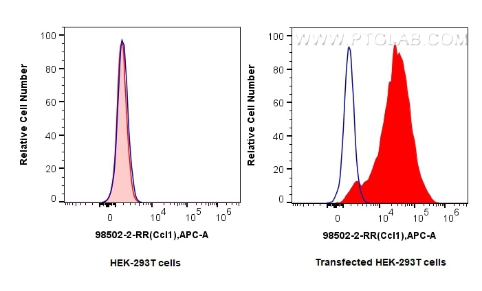 Flow cytometry (FC) experiment of Transfected HEK-293T cells using Anti-Mouse CCL1 Rabbit Recombinant Antibody (98502-2-RR)