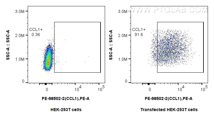 Flow cytometry (FC) experiment of Transfected HEK-293T cells using PE Anti-Mouse CCL1 Rabbit Recombinant Antibody (PE-98502-2)