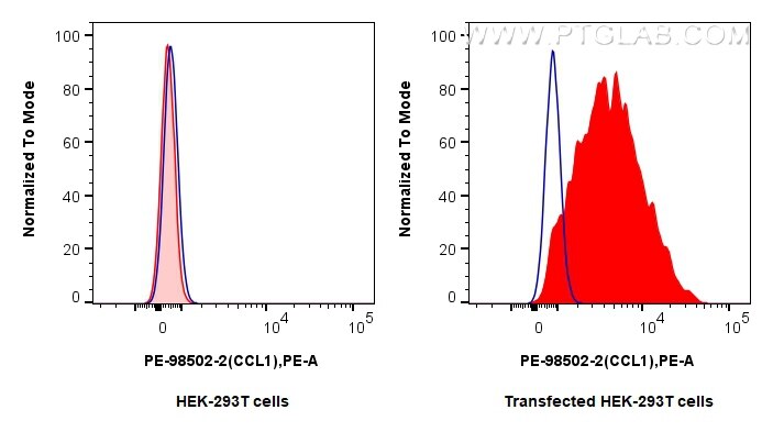 Flow cytometry (FC) experiment of Transfected HEK-293T cells using PE Anti-Mouse CCL1 Rabbit Recombinant Antibody (PE-98502-2)