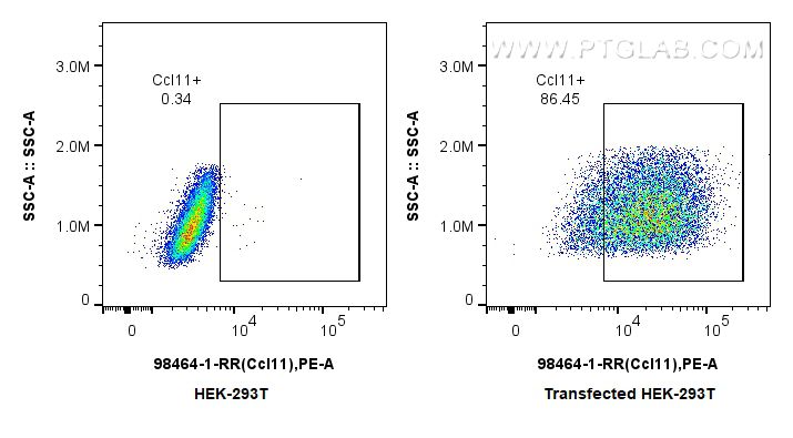 Flow cytometry (FC) experiment of Transfected HEK-293T cells using Anti-Mouse CCL11/Eotaxin Rabbit Recombinant Antibo (98464-1-RR)