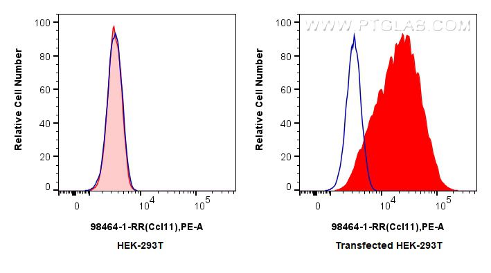 Flow cytometry (FC) experiment of Transfected HEK-293T cells using Anti-Mouse CCL11/Eotaxin Rabbit Recombinant Antibo (98464-1-RR)