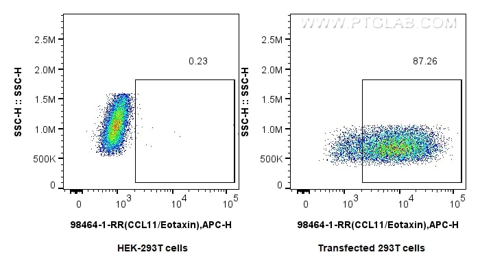 FC experiment of Transfected HEK-293T using 98464-1-RR (same clone as 98464-1-PBS) Flow cytometry (FC) experiment of Transfected HEK-293T cells using Anti-Mouse CCL11/Eotaxin Rabbit Recombinant Antibo (98464-1-RR)