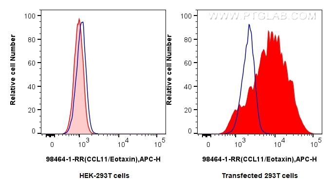 FC experiment of Transfected HEK-293T using 98464-1-RR (same clone as 98464-1-PBS) Flow cytometry (FC) experiment of Transfected HEK-293T cells using Anti-Mouse CCL11/Eotaxin Rabbit Recombinant Antibo (98464-1-RR)