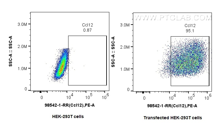 1x10^6 HEK-293T cells and CCL12/MCP-5-transfected HEK-293T cells were intracellularly stained with 0.25 ug Anti-Mouse Ccl12 Rabbit RecAb (98542-1-RR, Clone:250386G10) and APC-Conjugated Goat Anti-Rabbit IgG(H+L). Cells were fixed with 4% PFA and permeabilized with Flow Cytometry Perm Buffer (PF00011-C). Flow cytometry (FC) experiment of Transfected HEK-293T cells using Anti-Mouse CCL12/MCP-5 Rabbit Recombinant Antibody (98542-1-RR)