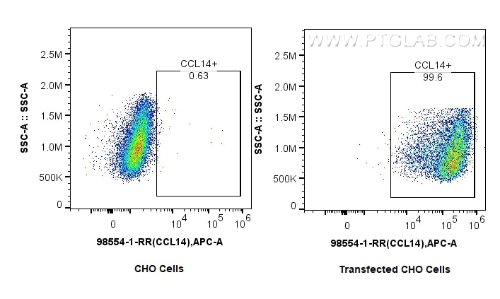 1x10^6 CHO cells or CCL14-transfected CHO cells were intracellularly stained with 0.25 ug Anti-Human CCL14 Rabbit RecAb (98554-1-RR, Clone:250487E9) and APC-Conjugated Goat Anti-Rabbit IgG(H+L). Cells were fixed with 4% PFA and permeabilized with Flow Cytometry Perm Buffer (PF00011-C). This data was developed using the same antibody clone with 98554-1-PBS in a different storage buffer formulation. Flow cytometry (FC) experiment of Transfected CHO using Anti-Human CCL14 Rabbit Recombinant Antibody (98554-1-RR)
