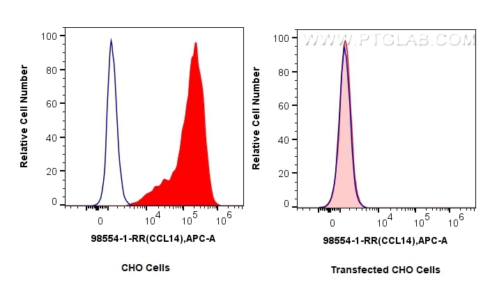 1x10^6 CHO cells or CCL14-transfected CHO cells were intracellularly stained with 0.25 ug Anti-Human CCL14 Rabbit RecAb (98554-1-RR, Clone:250487E9) (red) or 0.25 ug Rabbit IgG Isotype Control RecAb (98136-1-RR, Clone: 240953C9) (blue), and APC-Conjugated Goat Anti-Rabbit IgG(H+L). Cells were fixed with 4% PFA and permeabilized with Flow Cytometry Perm Buffer (PF00011-C). This data was developed using the same antibody clone with 98554-1-PBS in a different storage buffer formulation. Flow cytometry (FC) experiment of Transfected CHO using Anti-Human CCL14 Rabbit Recombinant Antibody (98554-1-RR)