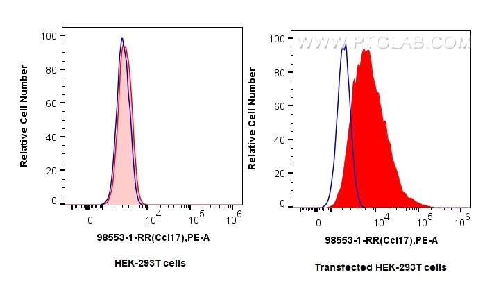 FC experiment of Transfected HEK-293T using 98553-1-RR (same clone as 98553-1-PBS) Flow cytometry (FC) experiment of Transfected HEK-293T cells using Anti-Mouse CCL17/TARC Rabbit Recombinant Antibody (98553-1-RR)