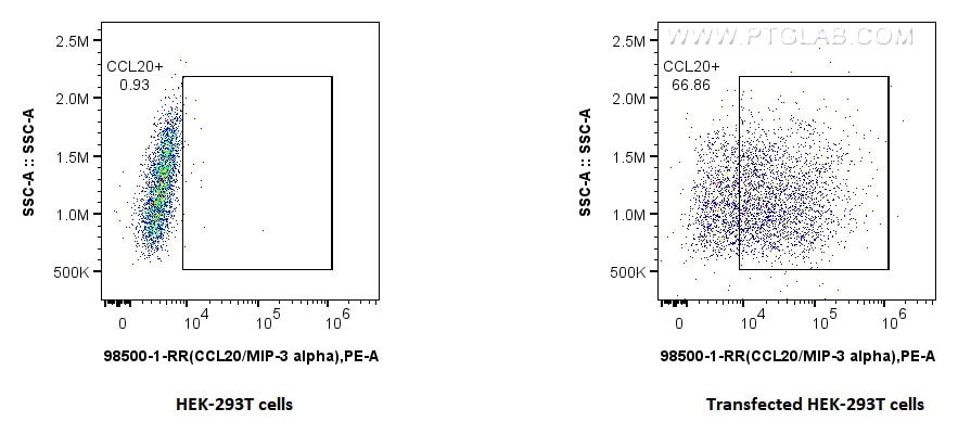 FC experiment of Transfected HEK-293T using 98500-1-RR Flow cytometry (FC) experiment of Transfected HEK-293T cells using Anti-Rat CCL20/MIP-3 alpha Rabbit Recombinant Anti (98500-1-RR)
