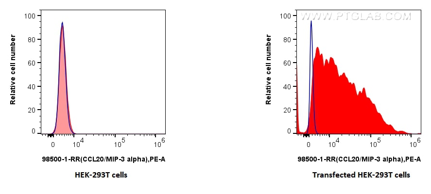 FC experiment of Transfected HEK-293T using 98500-1-RR Flow cytometry (FC) experiment of Transfected HEK-293T cells using Anti-Rat CCL20/MIP-3 alpha Rabbit Recombinant Anti (98500-1-RR)