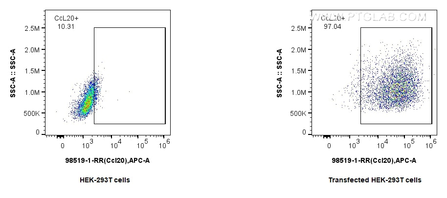 Flow cytometry (FC) experiment of Transfected HEK-293T cells using Anti-Mouse CCL20/MIP-3 alpha Rabbit Recombinant An (98519-1-RR)