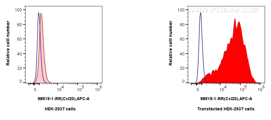 Flow cytometry (FC) experiment of Transfected HEK-293T cells using Anti-Mouse CCL20/MIP-3 alpha Rabbit Recombinant An (98519-1-RR)