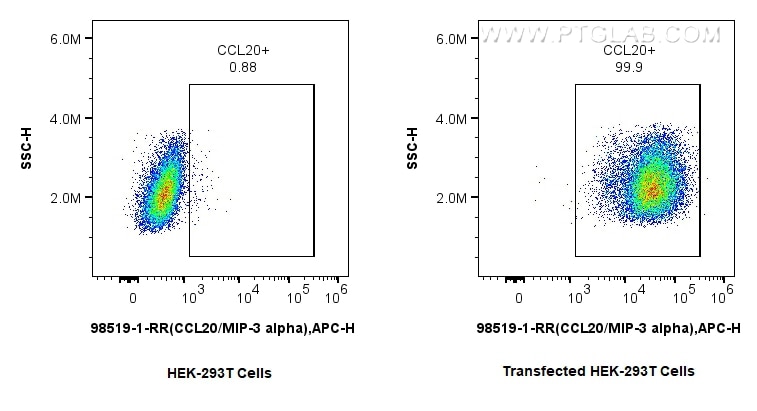 FC experiment of Transfected HEK-293T using 98519-1-RR (same clone as 98519-1-PBS) Flow cytometry (FC) experiment of Transfected HEK-293T cells using Anti-Mouse CCL20/MIP-3 alpha Rabbit Recombinant An (98519-1-RR)