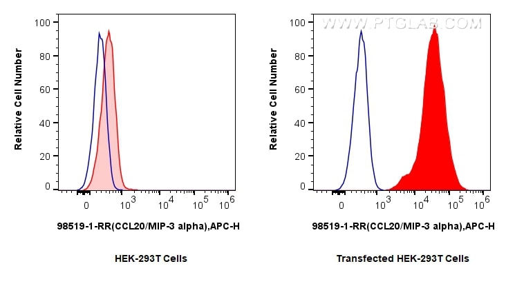 FC experiment of Transfected HEK-293T using 98519-1-RR (same clone as 98519-1-PBS) Flow cytometry (FC) experiment of Transfected HEK-293T cells using Anti-Mouse CCL20/MIP-3 alpha Rabbit Recombinant An (98519-1-RR)