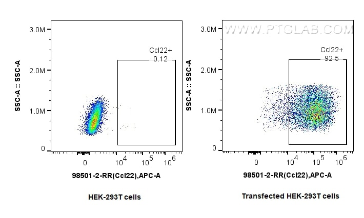Flow cytometry (FC) experiment of Transfected HEK-293T cells using Anti-Mouse CCL22/MDC Rabbit Recombinant Antibody (98501-2-RR)