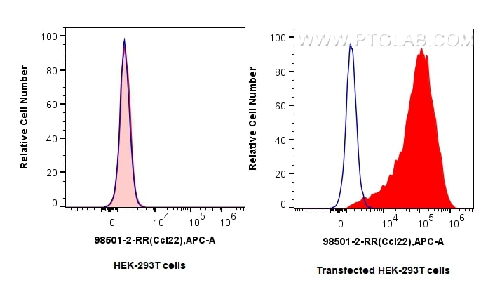 Flow cytometry (FC) experiment of Transfected HEK-293T cells using Anti-Mouse CCL22/MDC Rabbit Recombinant Antibody (98501-2-RR)