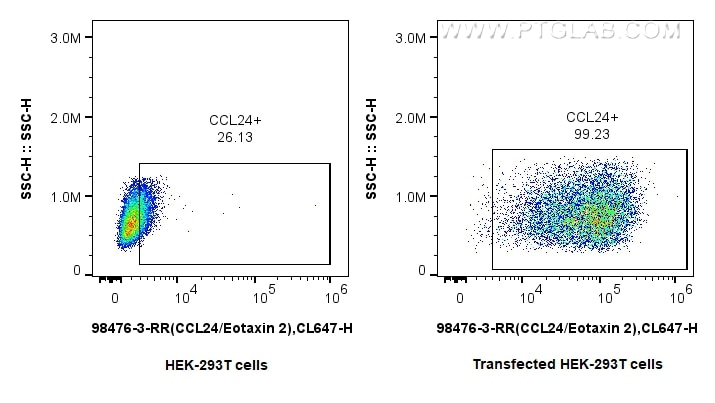 Flow cytometry (FC) experiment of Transfected HEK-293T cells using Anti-Human CCL24/Eotaxin 2 Rabbit Recombinant Anti (98476-3-RR)