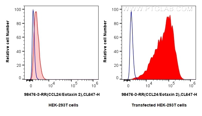 Flow cytometry (FC) experiment of Transfected HEK-293T cells using Anti-Human CCL24/Eotaxin 2 Rabbit Recombinant Anti (98476-3-RR)