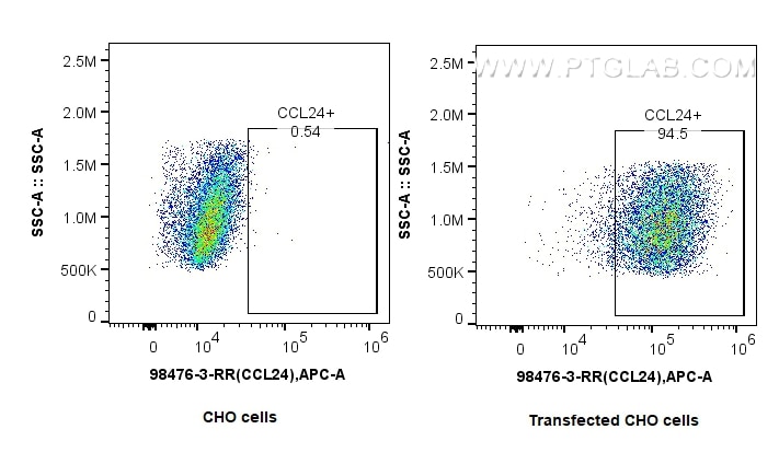 Flow cytometry (FC) experiment of CHO cells using Anti-Human CCL24/Eotaxin 2 Rabbit Recombinant Anti (98476-3-RR)