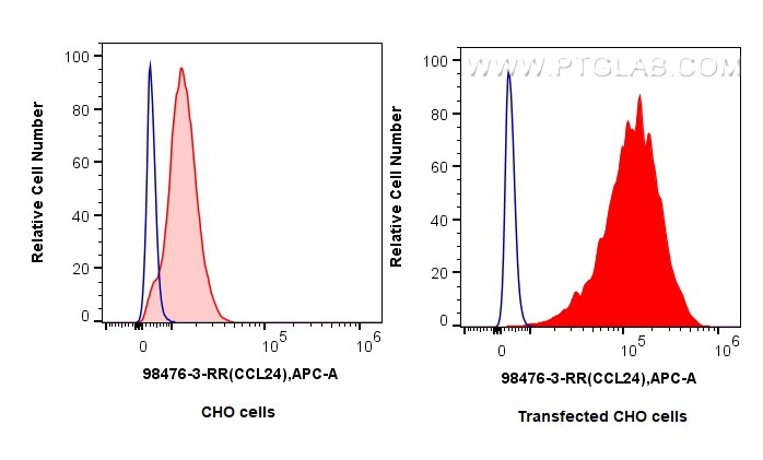 Flow cytometry (FC) experiment of CHO cells using Anti-Human CCL24/Eotaxin 2 Rabbit Recombinant Anti (98476-3-RR)