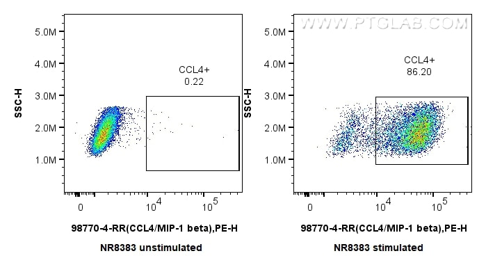 FC experiment of NR8383 using 98770-4-RR (same clone as 98770-4-PBS) Flow cytometry (FC) experiment of NR8383 cells using Anti-Rat CCL4/MIP-1 beta Rabbit Recombinant Antibo (98770-4-RR)