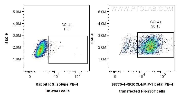 FC experiment of Transfected HEK-293T using 98770-4-RR (same clone as 98770-4-PBS) Flow cytometry (FC) experiment of Transfected HEK-293T cells using Anti-Rat CCL4/MIP-1 beta Rabbit Recombinant Antibo (98770-4-RR)